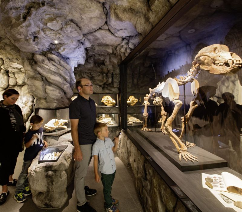 Naturmuseum St. Gallen