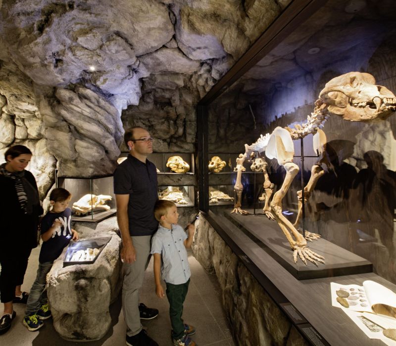 Naturmuseum St. Gallen