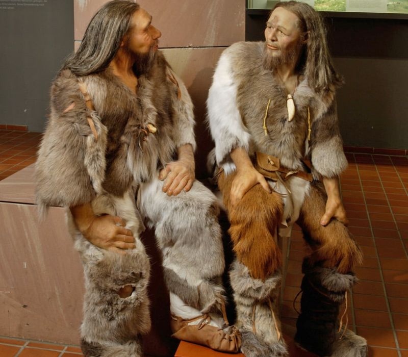 Neandertaler und Cro Magnon